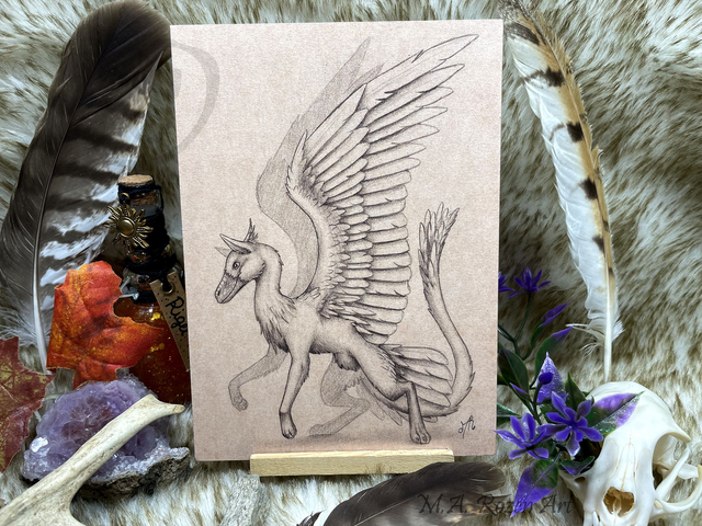 Opinicus Croquis 13X18cm