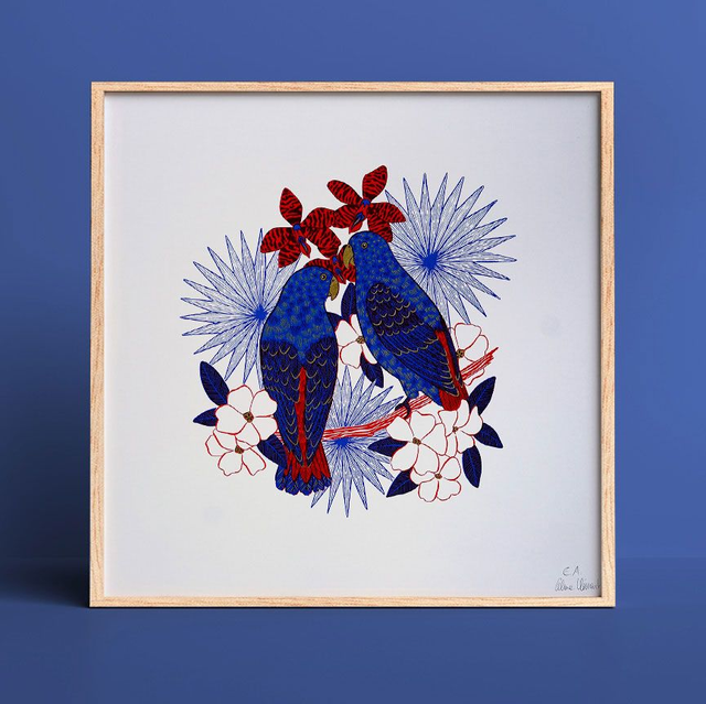 Les perroquets, version bleue