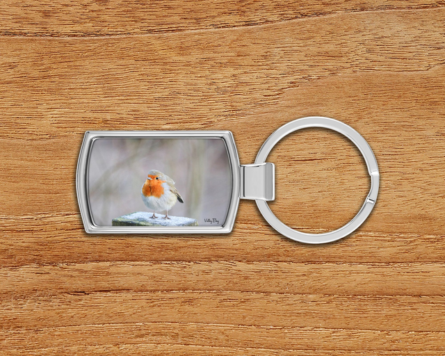 "Frosty Toes" Keyring   
