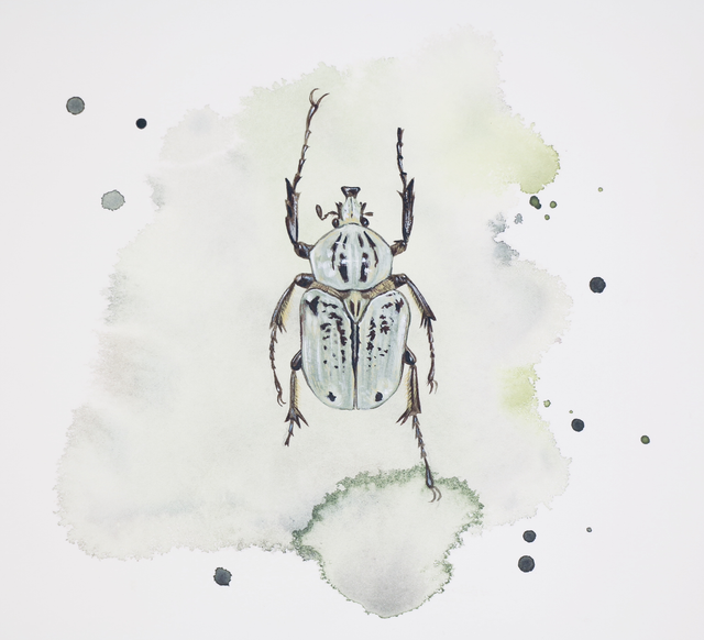 Original Watercolour: Green beetle