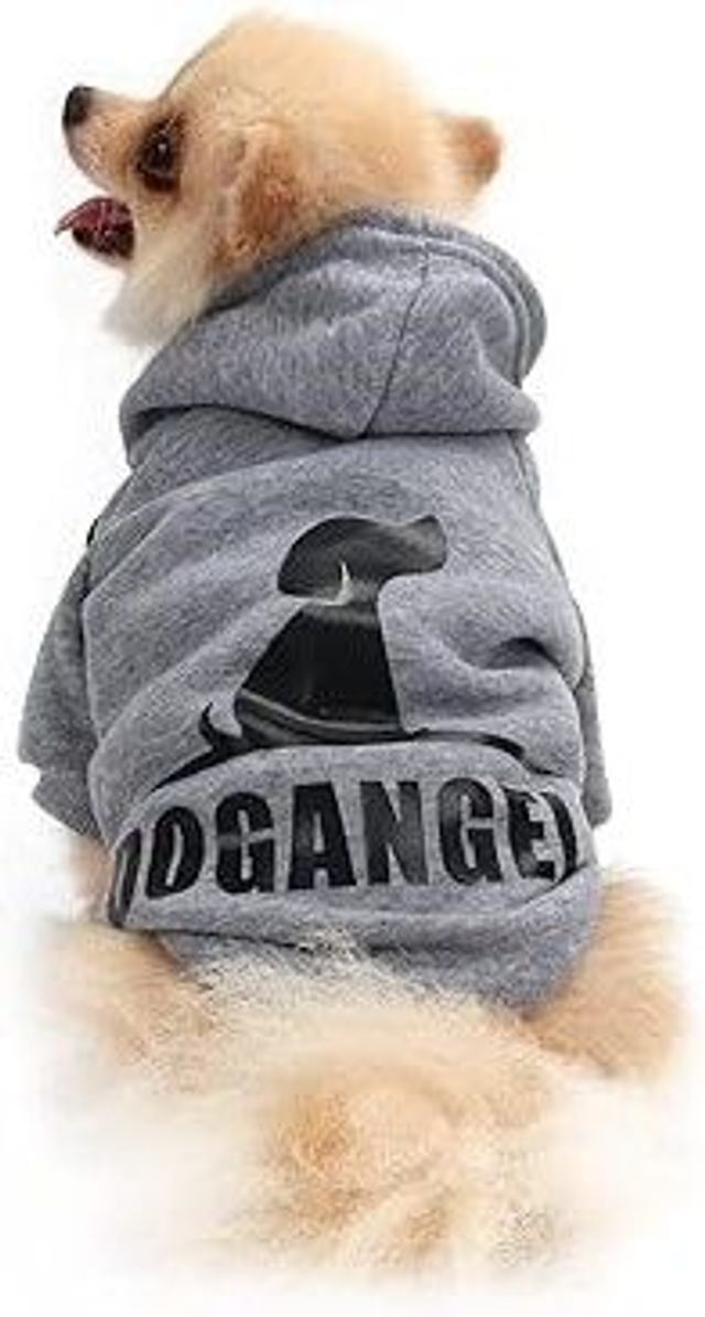 QiCheng & LYS pull "sweet" chien gris TL