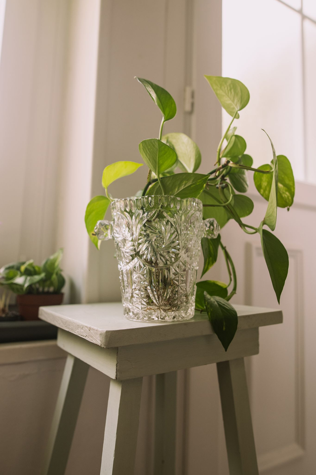 Seau à glace vintage en cristal ✨