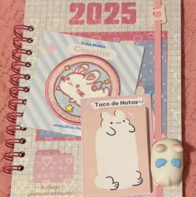 Pack Agenda 2025 Dulce Mistico Conejito