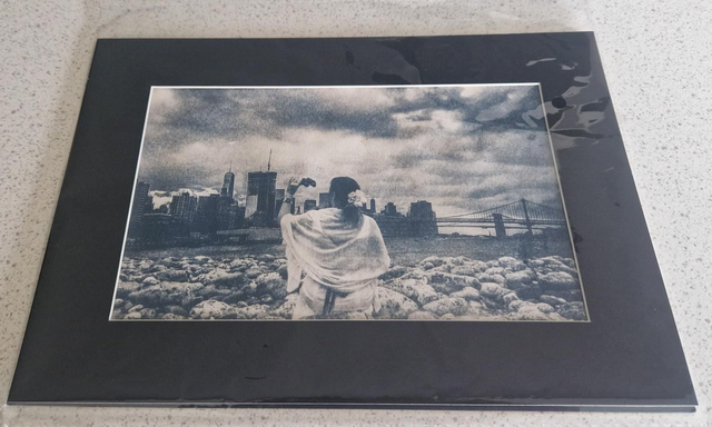 Toned Cyanotype Montage A4 Mounted