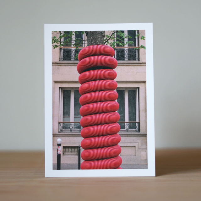 Photo Postcard 1