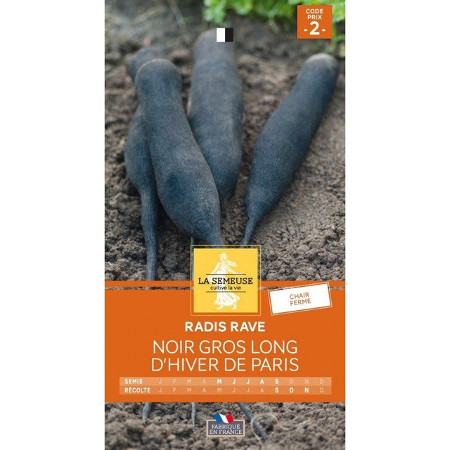 RADIS RAVE NOIR GROS LONG D&#039;HIVER DE PARIS