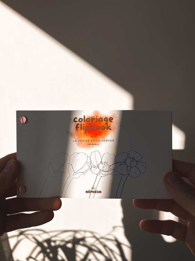 Coloriage Flipbook fait à la main- La fraise et la tortue