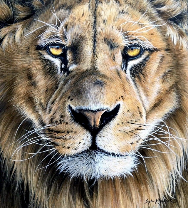 ‘Golden Gaze’ Original Painting
