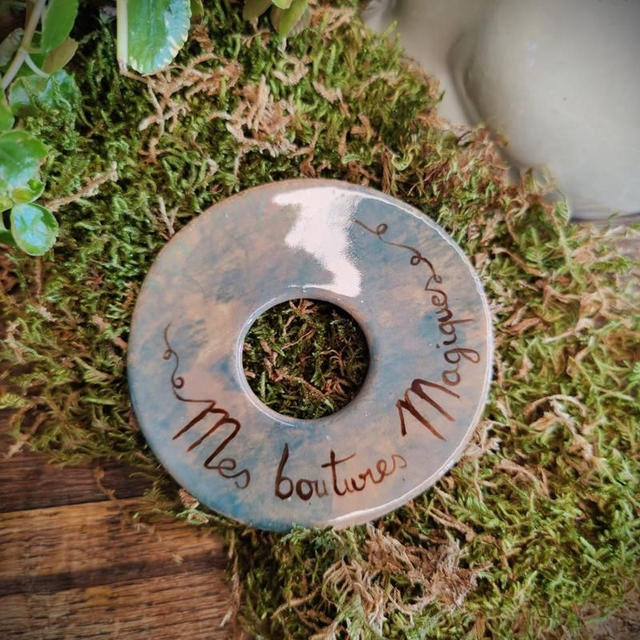 Bobèche de bouturage