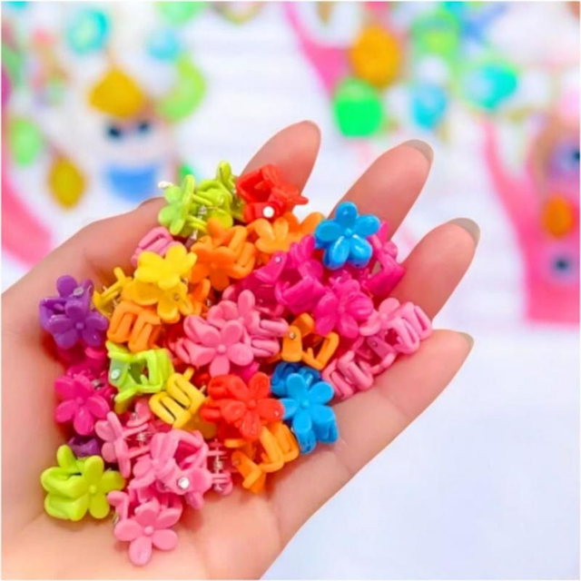 Mini Hair Clip Set | Hair Accessories
