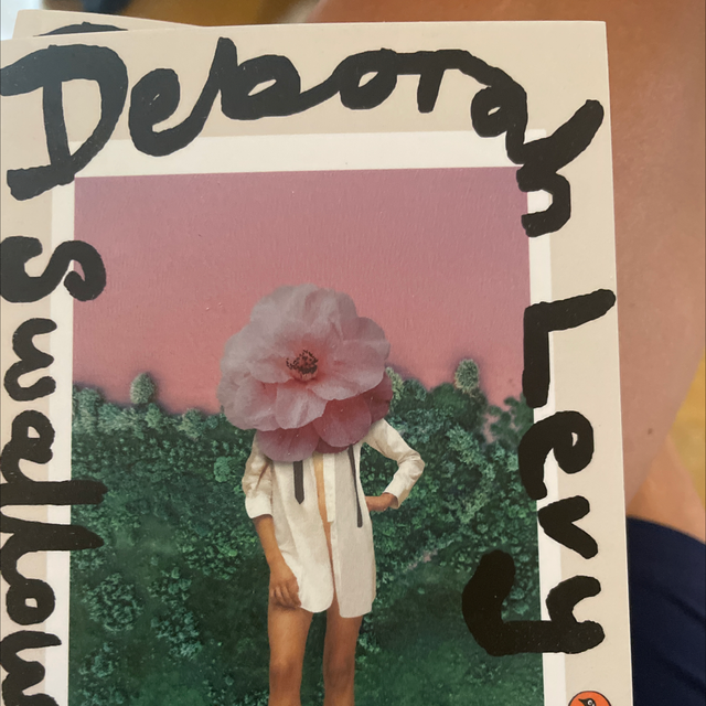 Swallowing Geography Deborah Levy