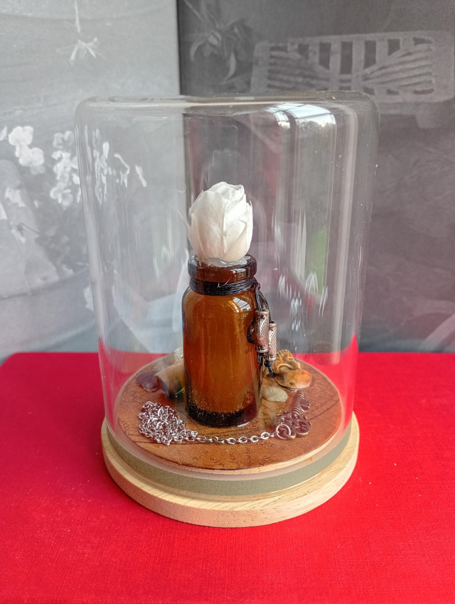 D25 Mini pirate blanc