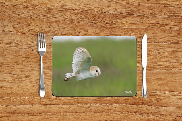 “Barn Owl” Placemat