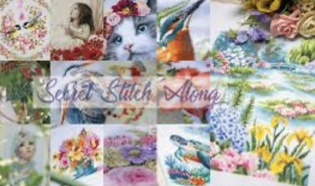 Secret Stitch Along 2025/2 by Vervaco