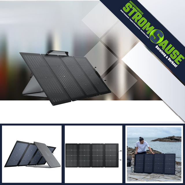Ecoflow Bifaziales tragbares 220 Watt Solarpanel