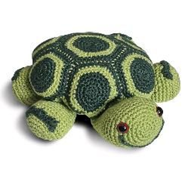 Sapoconcho. Dordoka.