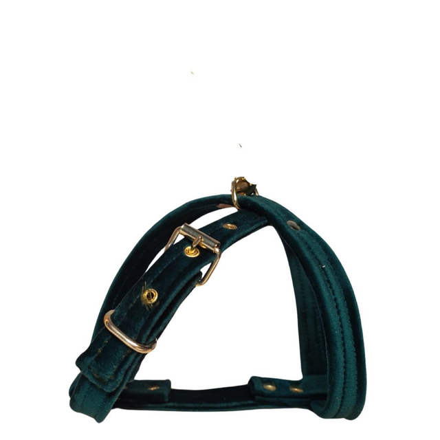 Pettorina Nurallao M