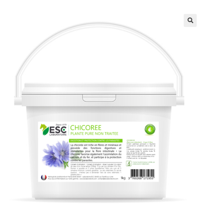 CHICOREE – Digestion du cheval et flore intestinale – Plante pure
