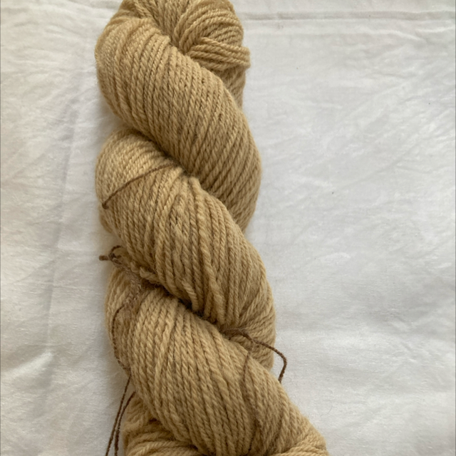 Natural dyed Lleyn DK