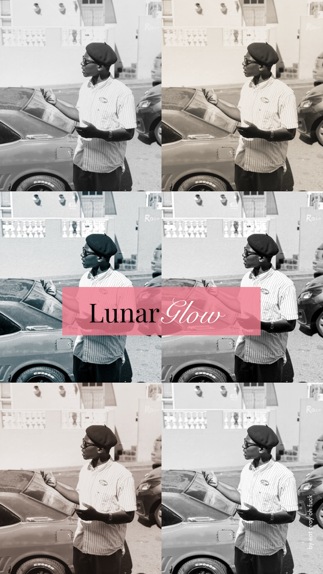 LUNAR GLOW - 1 Preset (6 Styles) – Mein Look für deine Fotos  