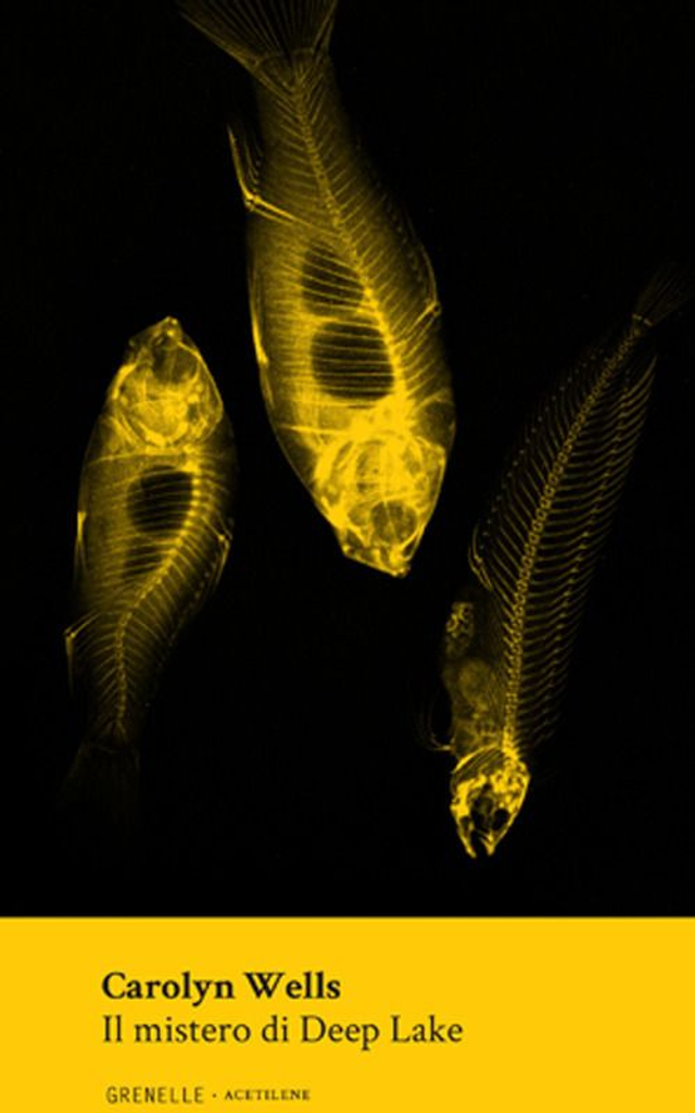 Wells Carolyn - Il mistero di Deep Lake