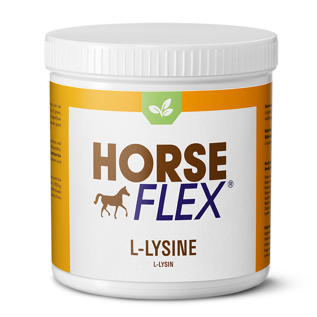 HorseFlex - L-lysine 250g
