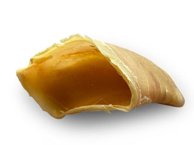 Sabot de veau (1 pièce)