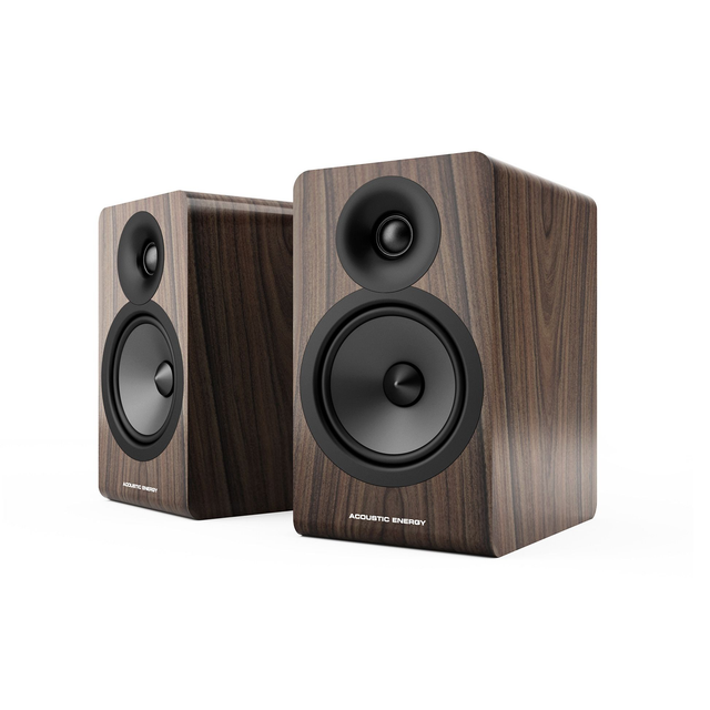 Acoustic Energy AE100.2