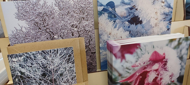 5 mixed Christmas greetings cards