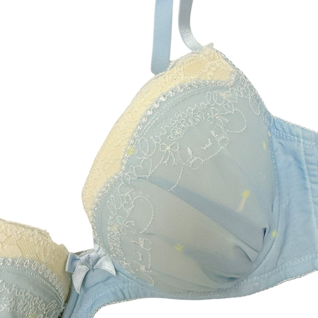 BNWT Japanese brand coquette blue star cinnamoroll sanrio bra and underwear set