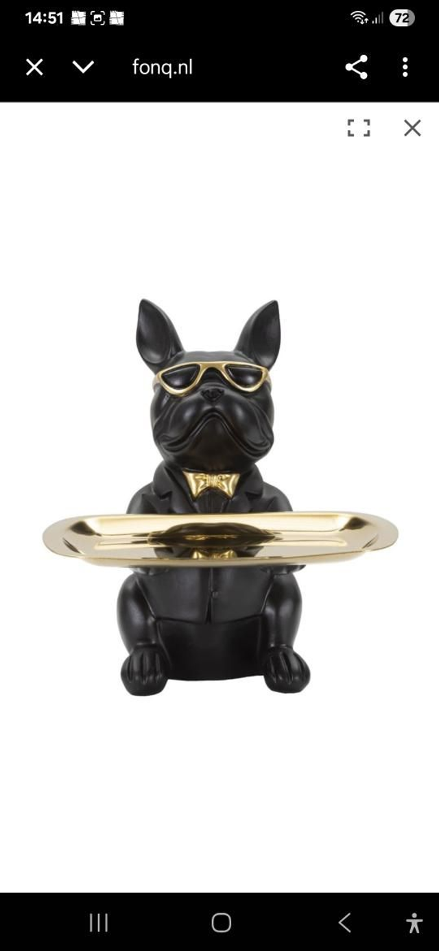 Beeld hond buldog met spaarpot