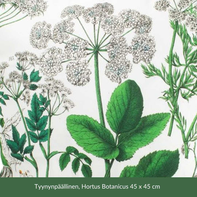 Tyynynpäällinen, Hortus Botanicus