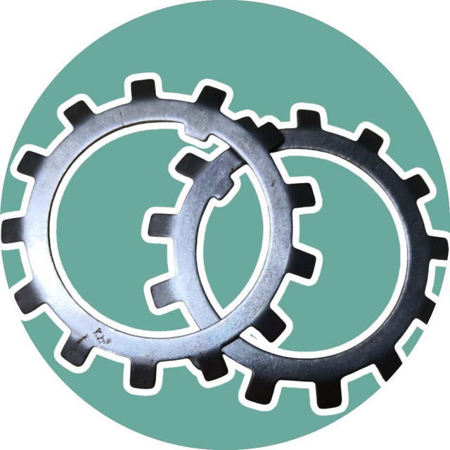 Sicherungsblech Bremse (2er Set)