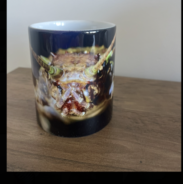 Stick insect mug