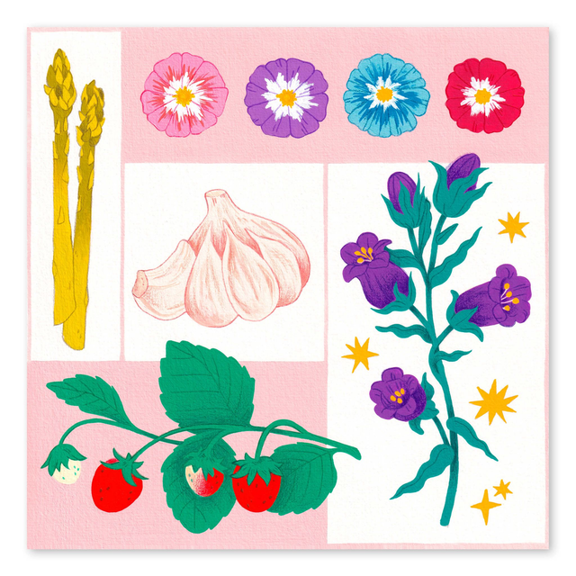 Illustrations du calendrier 2024