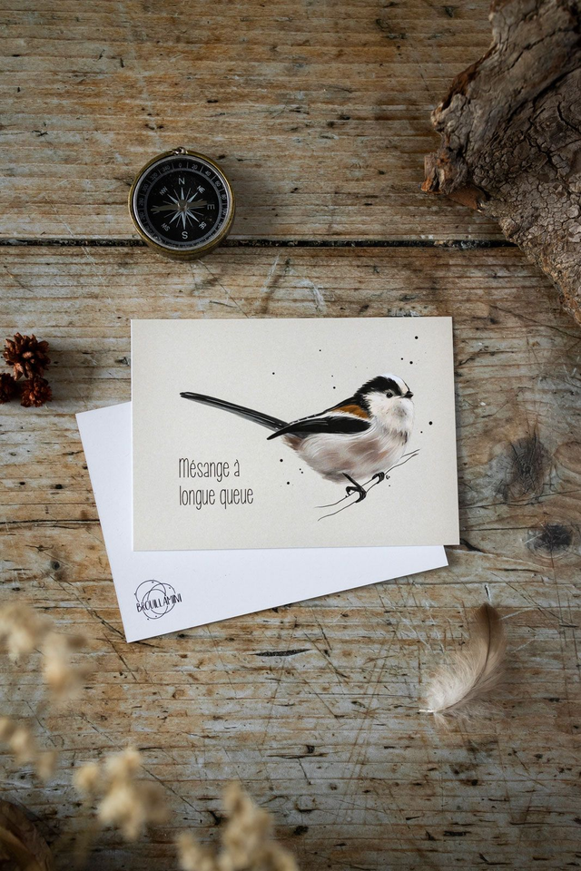 MÉSANGE À LONGUE QUEUE - Carte format A6 