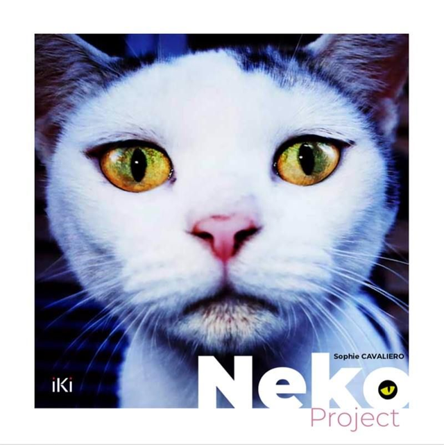 NEKO PROJECT