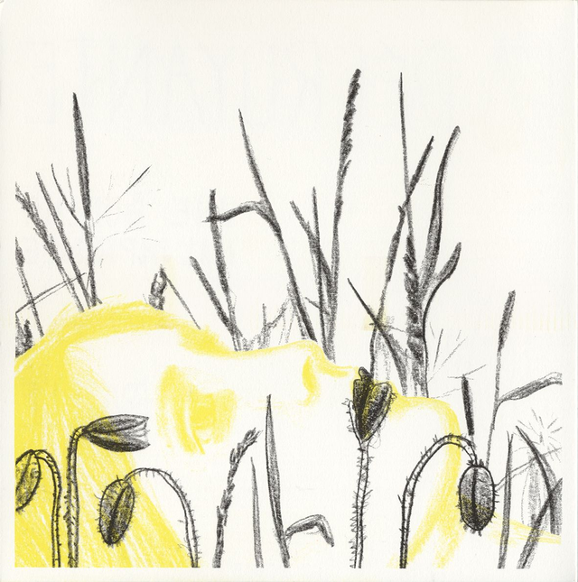 UNE BOUCHE MAL IMPRIMÉE • Paille