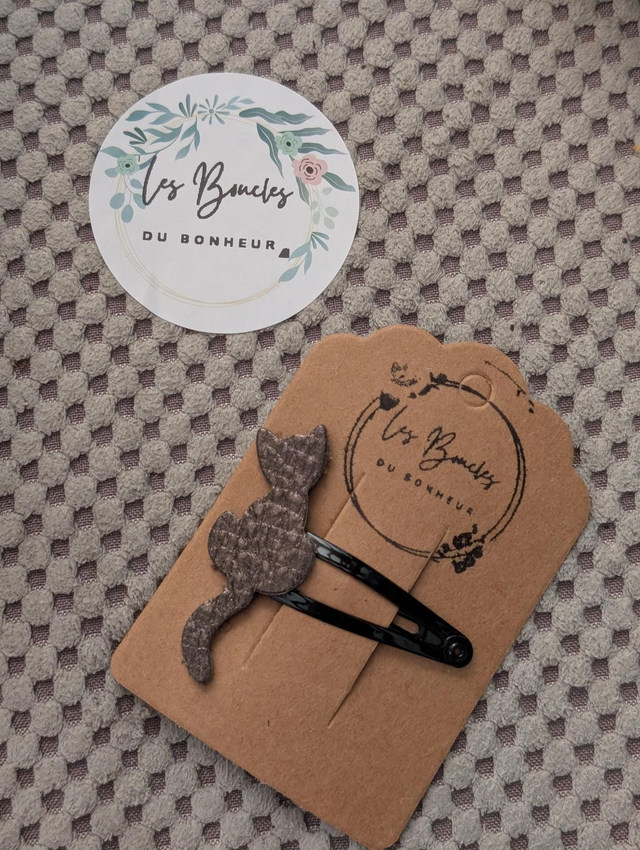 Barrette b040