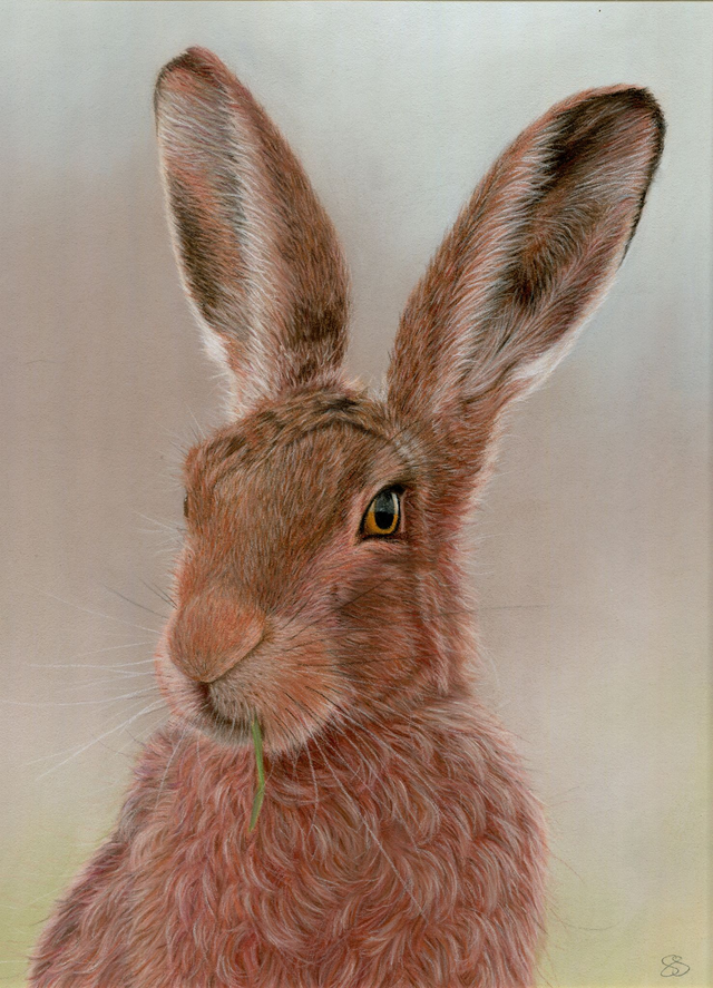 "Hare" 7.5x5.5" Limited Edition Print