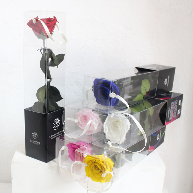 000RM604 ROSA ETERNA CON OLOR 38cm x 8x8 cm