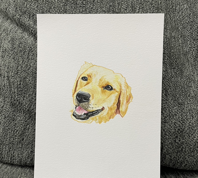 30 Minute Pet Portrait 