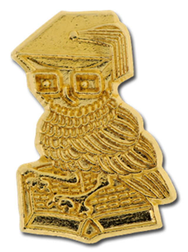 (2) Owl Badge - Gold