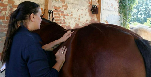 ganzheitliche Akupunktur