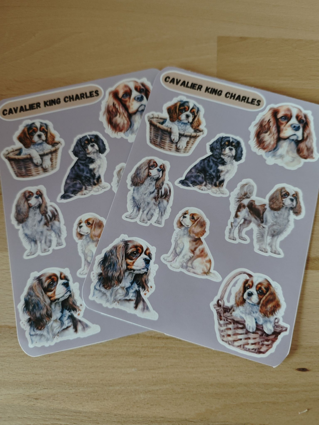 Planche stickers Cavalier King Charles