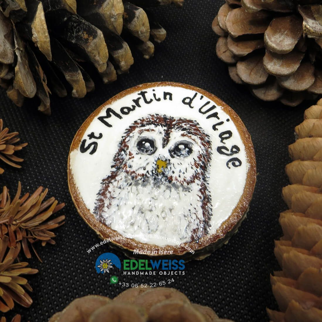 Saint Martin d'Uriage - chouette