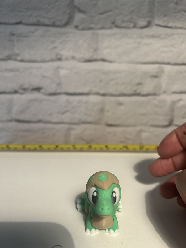 Tortoise - Aritcuated