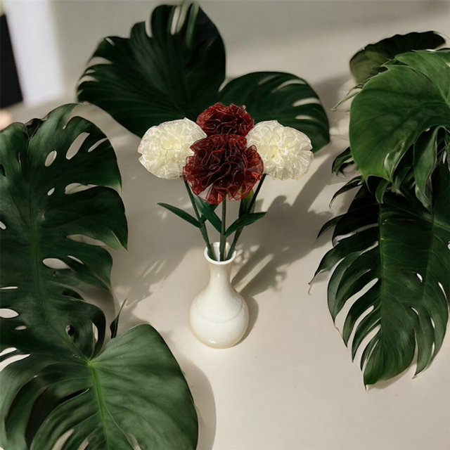 Carnation flowers in ribbon