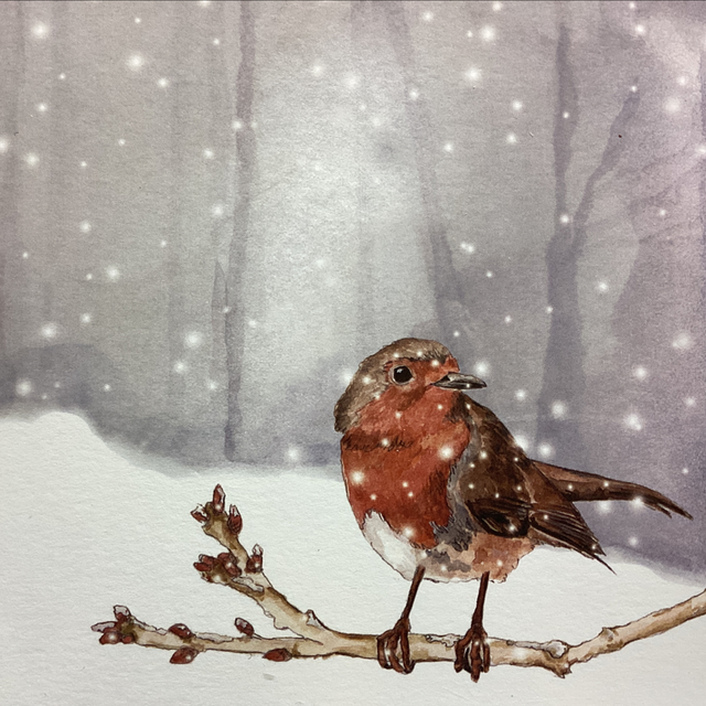 Christmas Sophie Botsford - Christmas Red Robin