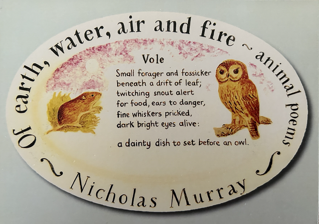 XX29 Nicholas Murray Postcard